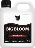 BiG Bloom