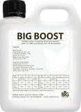 BiG Boost