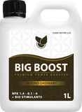 BiG Boost