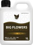 BiG Flowers