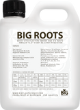 BiG Roots