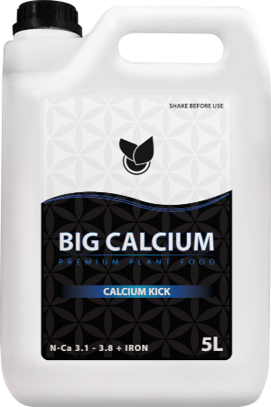 BiG Calcium Big Plant Science