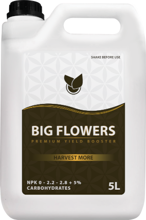 BiG Flowers Big Plant Science