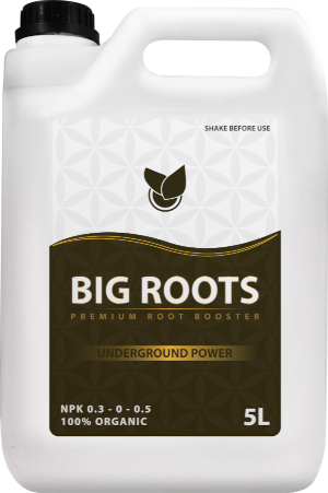 BiG Roots Big Plant Science