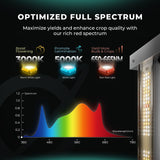 MARS-HYDRO FC 3000-EVO 300W FULLSPECTRUM LED GROWLIGHT