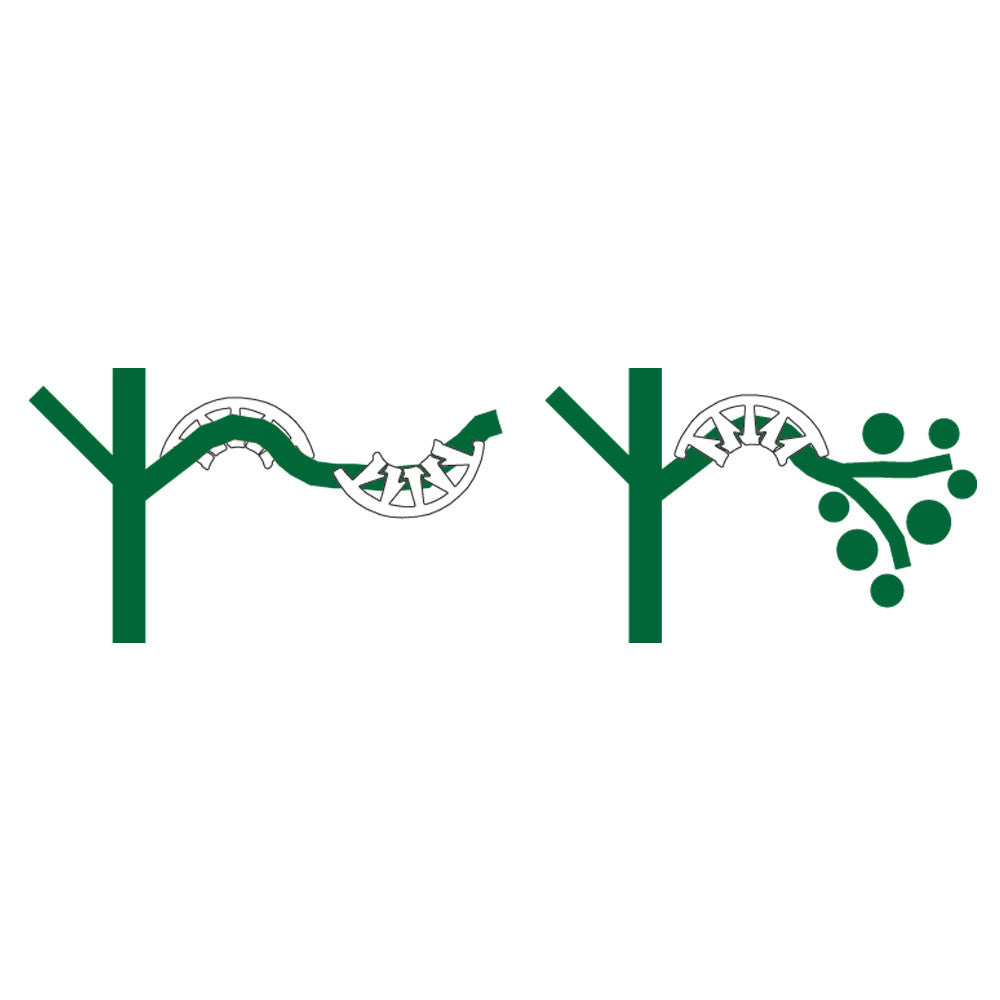 Plant Bends - Grey & Green Growshop - 2