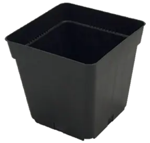 Black square plastic plant pot with tapered sides and rim