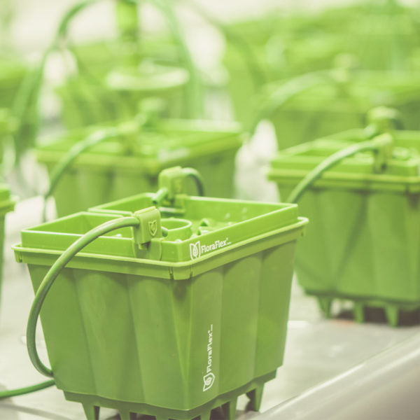 PotPro™ 15cm FloraFlex®