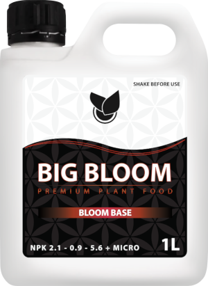 BiG Bloom Big Plant Science