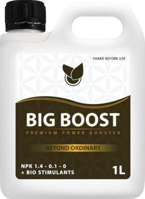 BiG Boost Big Plant Science