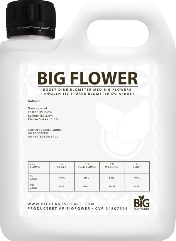 BiG Flowers Big Plant Science