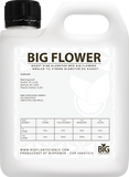 BiG Flowers