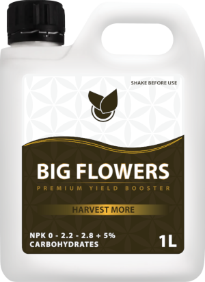 BiG Flowers Big Plant Science