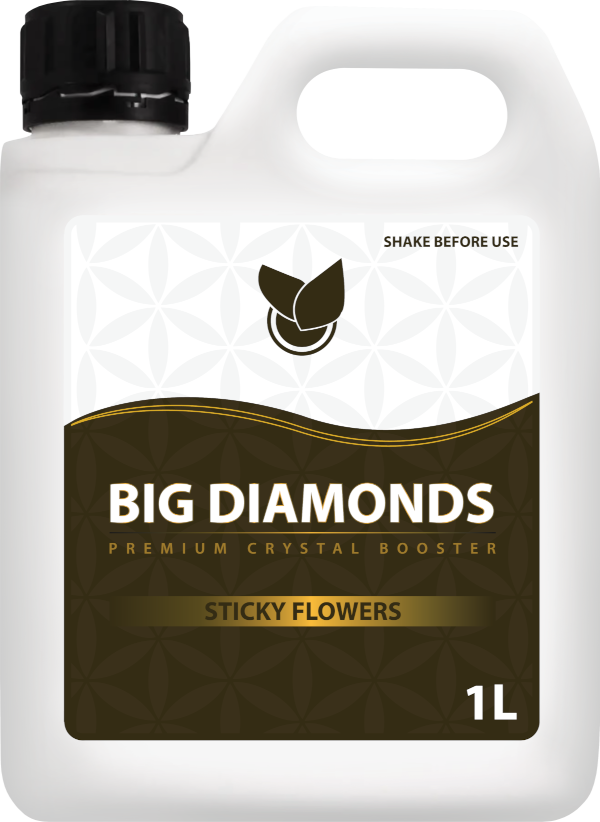 BiG Diamonds Big Plant Science