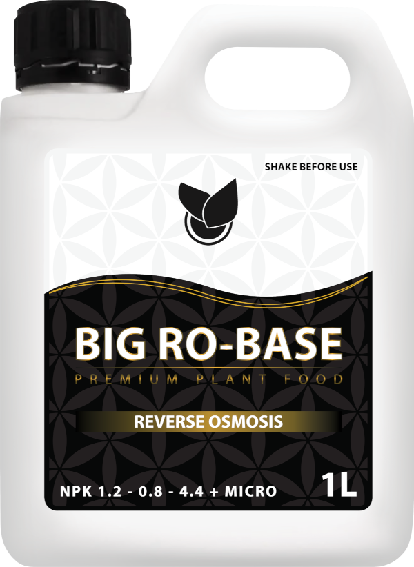 BiG RO Base Big Plant Science