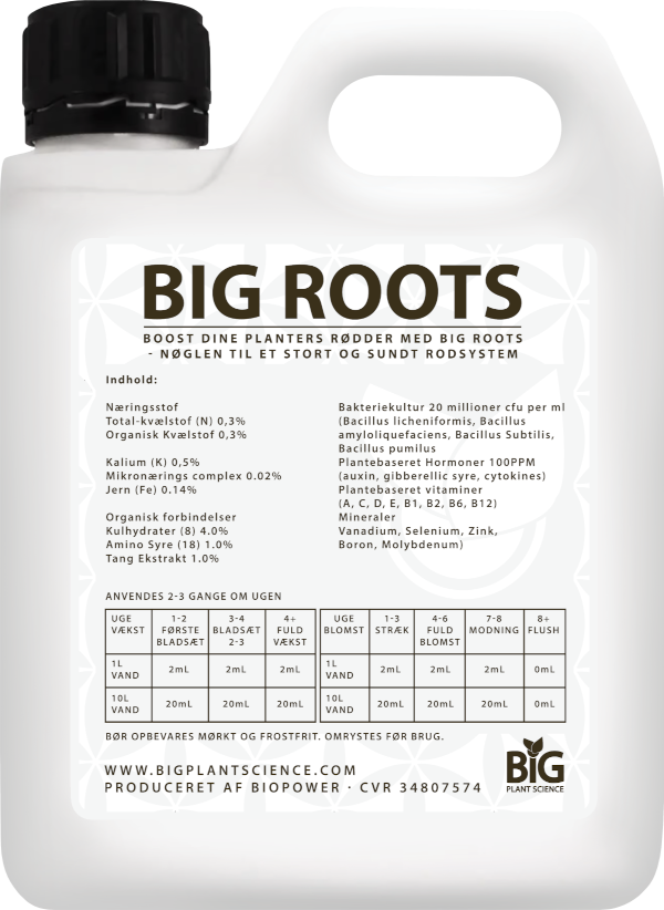 BiG Roots Big Plant Science