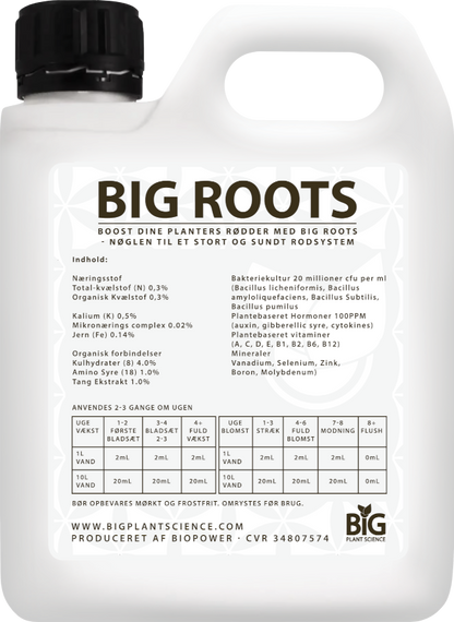 BiG Roots Big Plant Science
