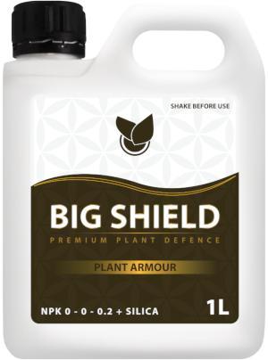 BiG Shield Big Plant Science