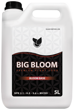 BiG Bloom Big Plant Science