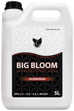 BiG Bloom