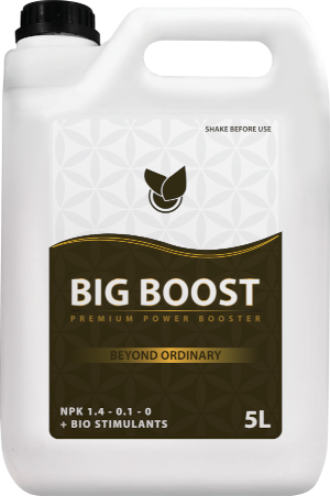 BiG Boost Big Plant Science