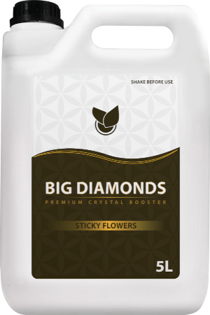 BiG Diamonds Big Plant Science