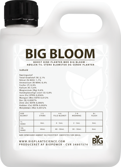 BiG Bloom Big Plant Science