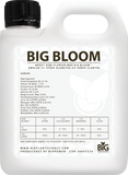 BiG Bloom