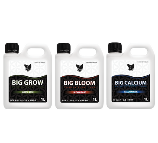 BiGs Starter bundle Big Plant Science