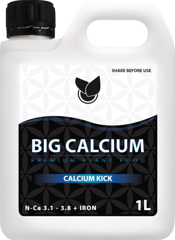 BiG Calcium Big Plant Science