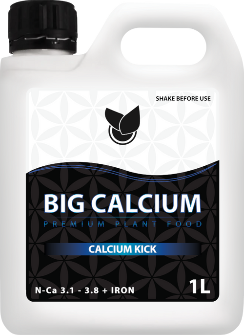 BiG Calcium Big Plant Science