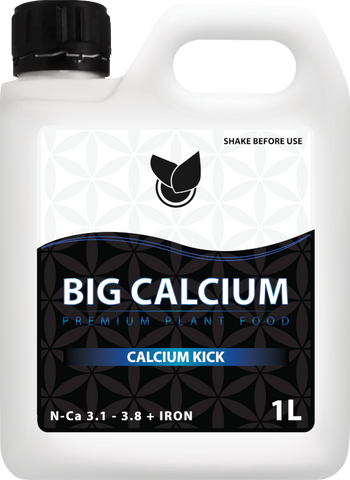 BiG Calcium