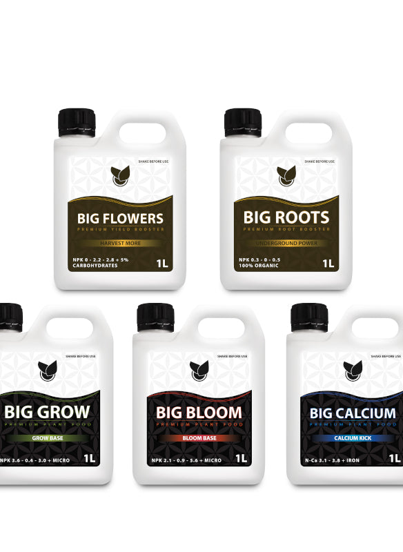 BiGs Basic Bundle Big Plant Science