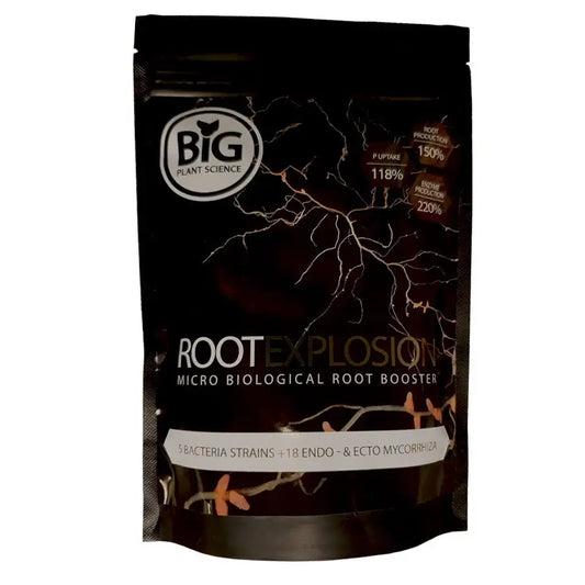Root Explosion - GreyGreen Growshop
