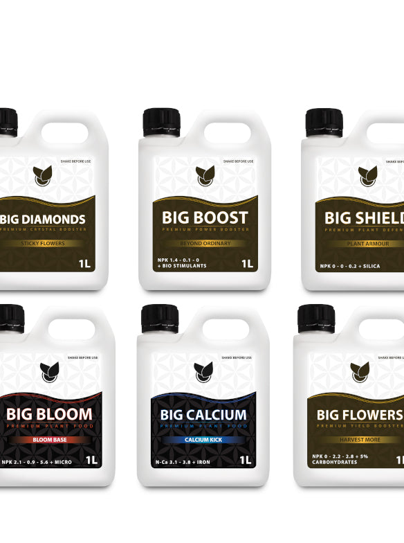 BiGs Premium Bundle Big Plant Science