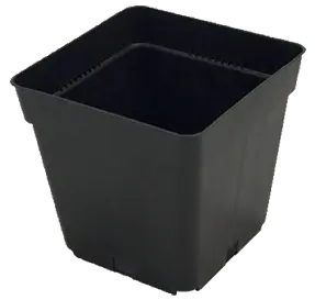 Black square plastic plant pot with tapered sides and rim