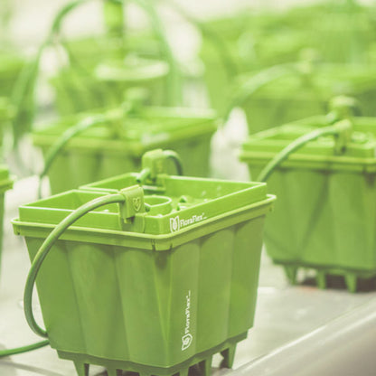 PotPro™ 15cm FloraFlex®