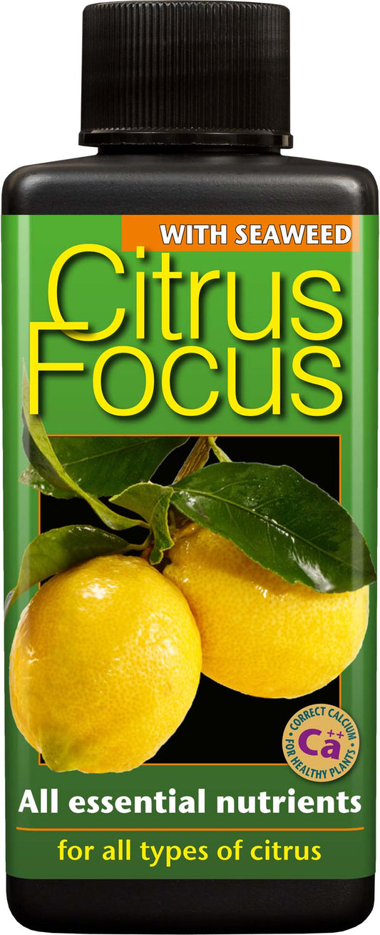 Citrus Focus 1 L Growth Technology