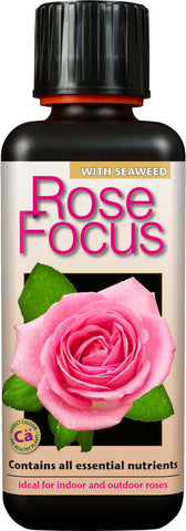 Rose Focus 1 L