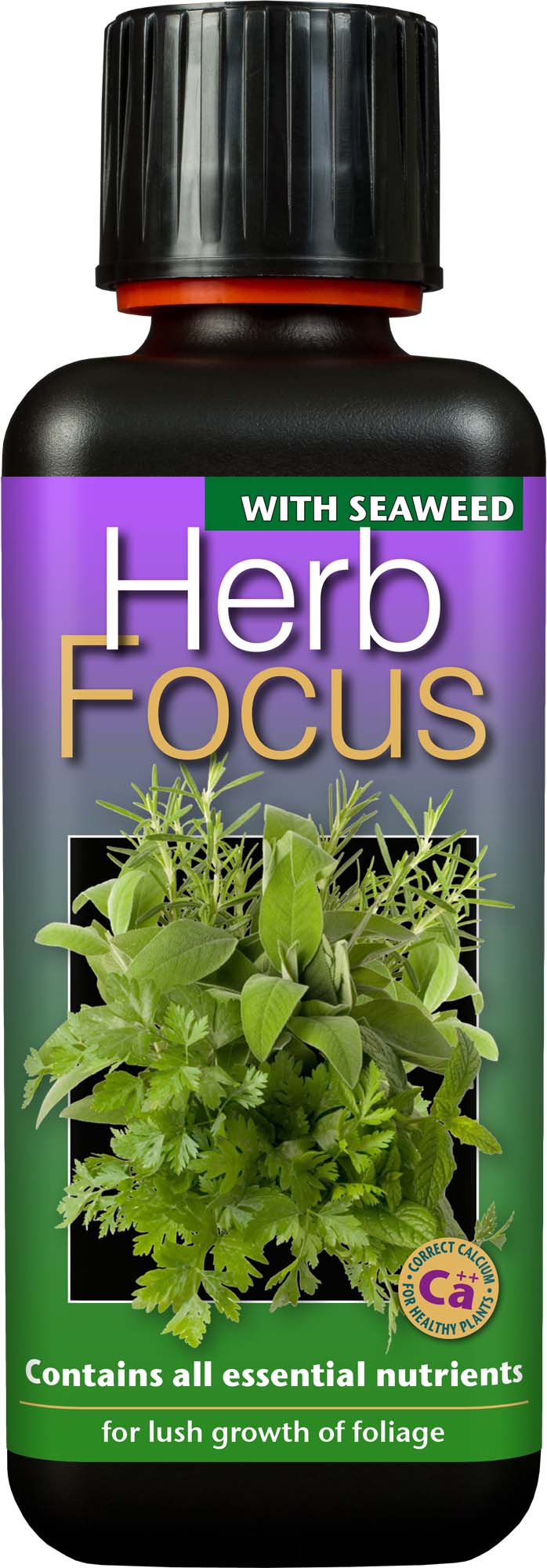 Herb Focus 1 L Growth Technology