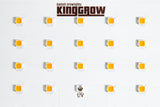 King-Grow 120W Quantumboard LED grolys