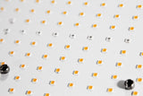 King-Grow 240W Quantumboard LED grolys