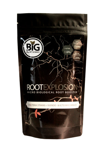 Root Explosion