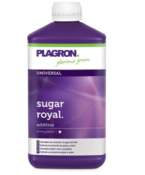 Sugar Royal - Grey & Green Growshop