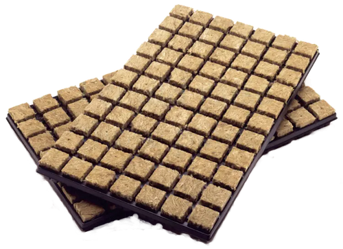 Two black trays filled with small brown square Grodan rockwool cubes for hydroponic seed starting