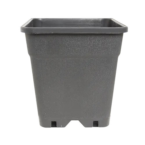 Black square plastic plant pot with drainage holes at the bottom